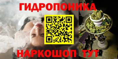 дмт Пушкино